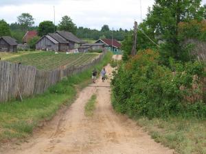 Дорога в деревне